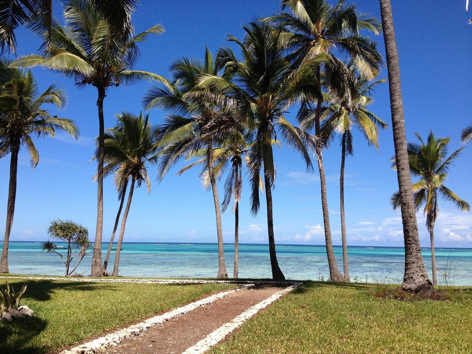 Family beginning a tropical island holiday